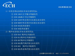 慧訊網(wǎng)產(chǎn)品技術(shù)賦能，上海洗霸與網(wǎng)絡(luò)技術(shù)深度融合解析