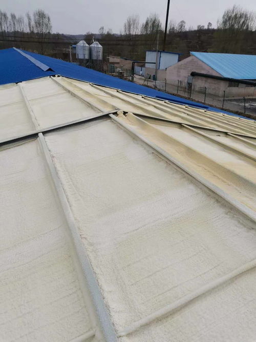 高密豬棚聚氨酯推薦保溫施工